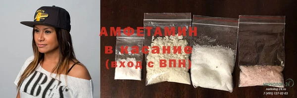 амф Дмитриев