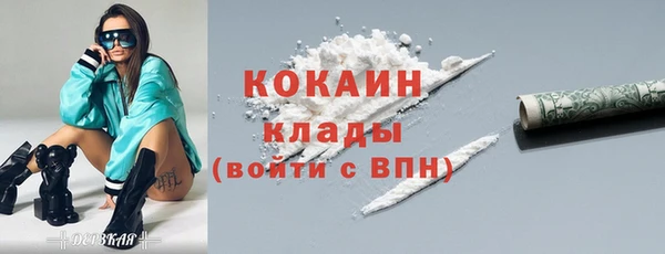 стаф Дмитровск