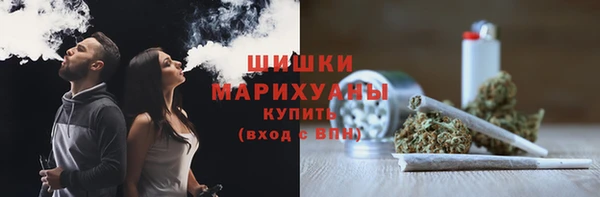 амф Дмитриев