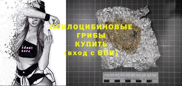 амф Дмитриев