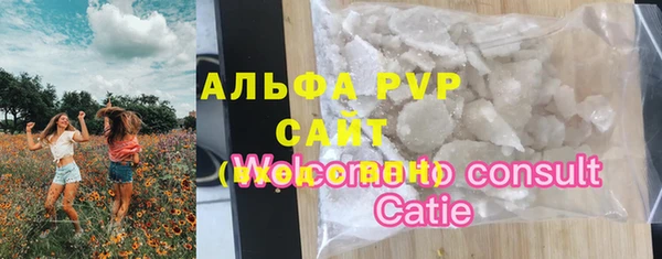 амф Дмитриев