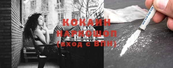 амф Дмитриев
