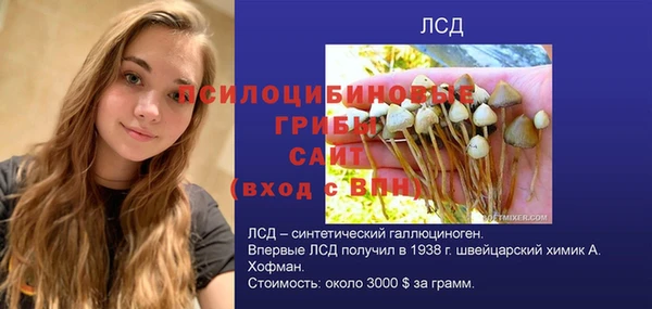 стаф Дмитровск