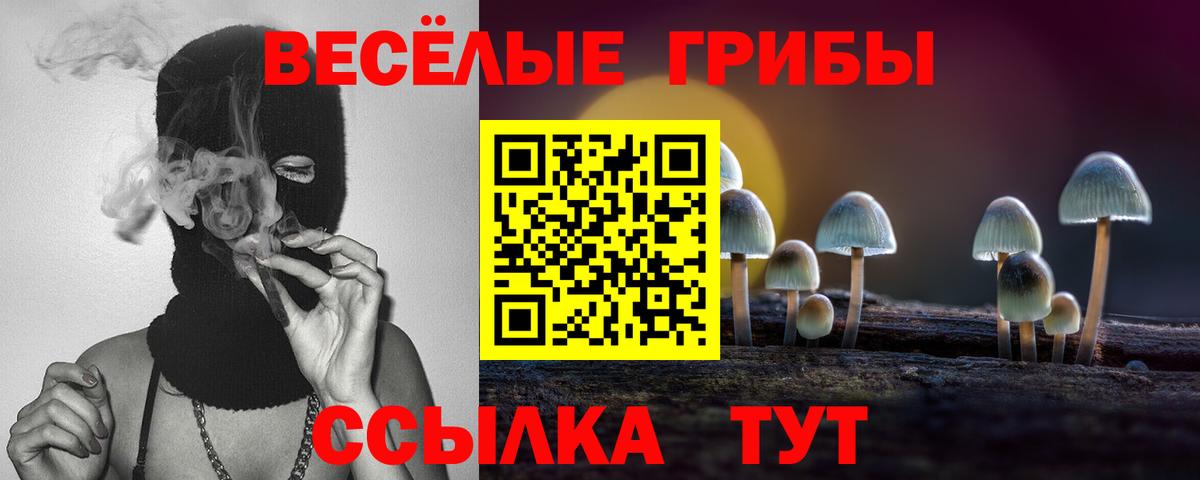 Псилоцибиновые грибы MAGIC MUSHROOMS  Вход с VPN  Москва 