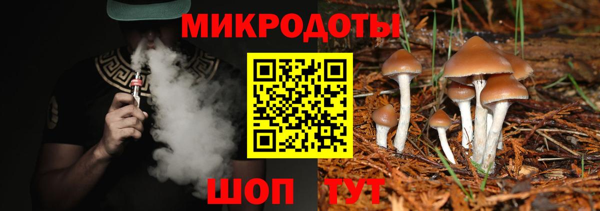 Псилоцибиновые грибы мухоморы Москва